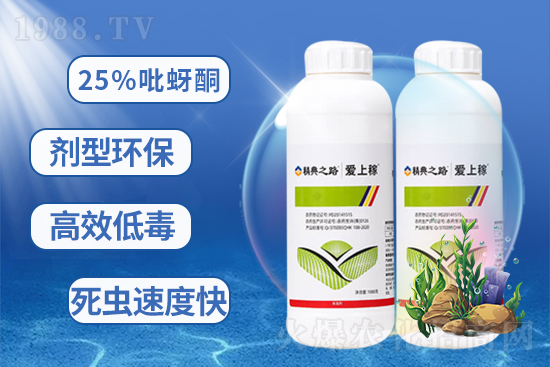    25%����ͪ-���ϼ�-����֮·