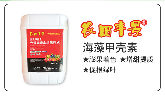 ������ʩ������Ƽ����޹�˾923599_02