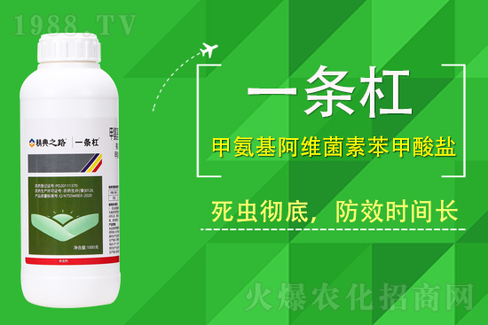 ����֮·�r�I(y��)�Ƽ����޹�˾4