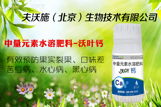 �����ѹ���ô�k���a�}���P�I! �@�������p�ɽ�Q��