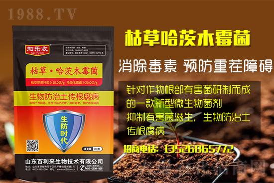 ���������l(f��)��ô��������������ʲôˎ�÷���Ч���ã�