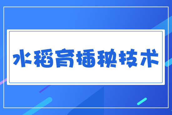 水稻育插秧技術(shù)