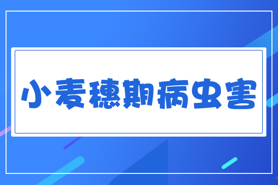 С�����ڲ��x��