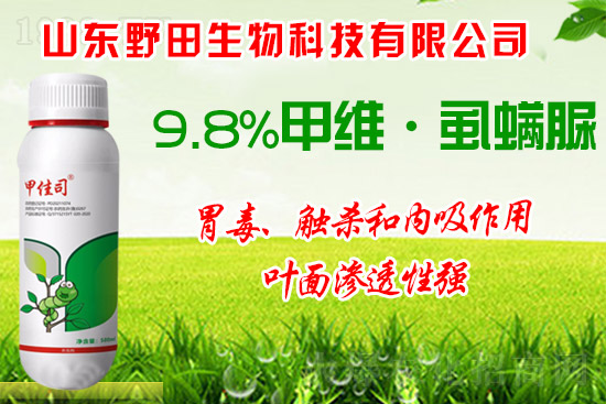 ��Сʳ���x��οƌW(xu��)��ˎ����Сʳ���x�l(f��)��ԭ�򼰷��ν��h��