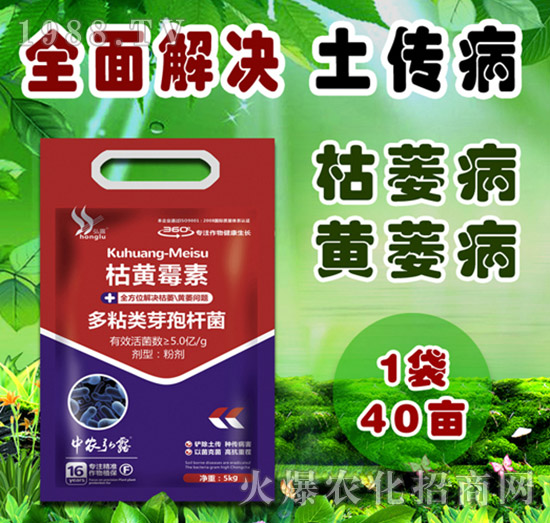     ��(x��)���Բ�������Щ������ˎ����ô�x��һƪ�����f����