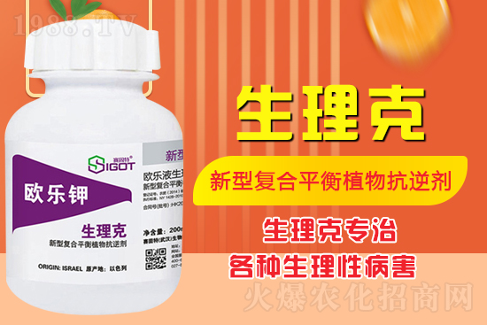 ����Ě������ʲô�Y������ô��Q����Ě������