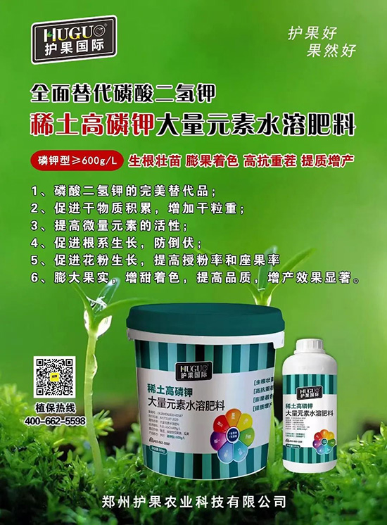 ⛷ʴ�q�r���@�N⛷���ݶ��ϣ����������������ռ���f�Ј�