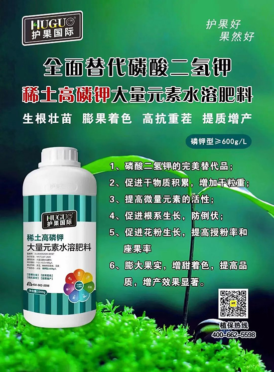 ⛷ʴ�q�r���@�N⛷���ݶ��������������������ռ���f�Ј�