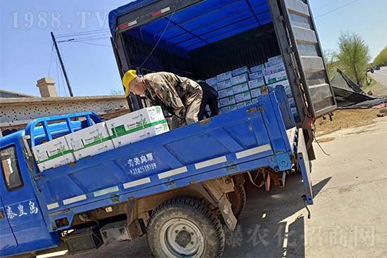 ���N��Ʒ����(sh��)���S��������2̖�l(f��)؛��ͣЪ