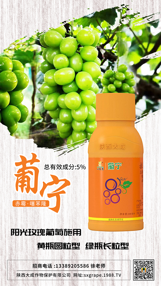 ������α����������p�ٴ�С�����@Щ�����ஔ(d��ng)��Ҫ��