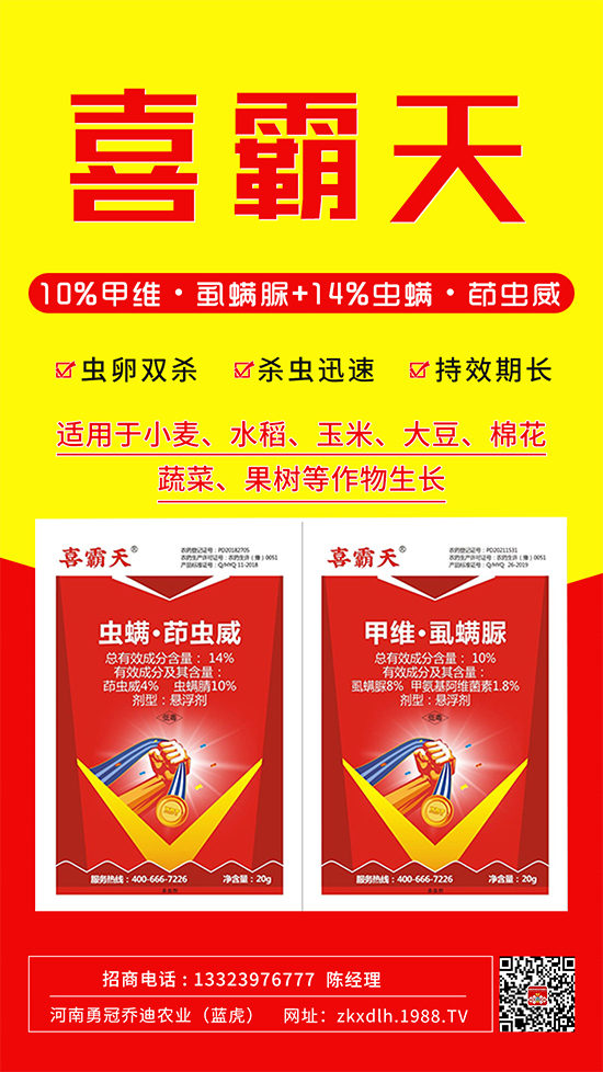 С�˶��������xΣ����̫�y�����@����ˎ��һ��һ��(g��)��(zh��n)!