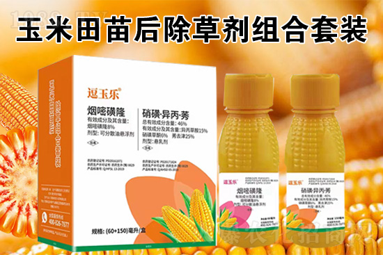 ���׳��݄���ô�������Ч��