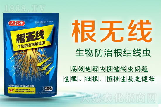 ���Y(ji��)���x�������ך��^�y���@�ӷ���Ч���õ��@����