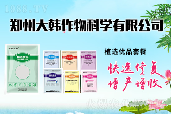 ����ˎ���ʺ��l�l(f��)��ô�k���l(f��)��ˎ���ʺ�����a(b��)�ȣ�