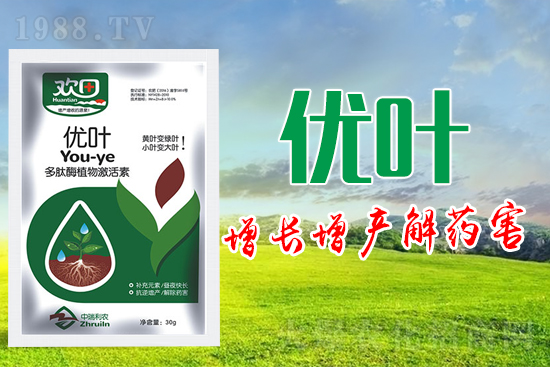 �~��ʵķN�ʹ��ע�����