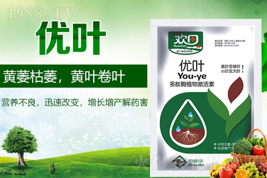 �~��ʵķN�ʹ��ע�����