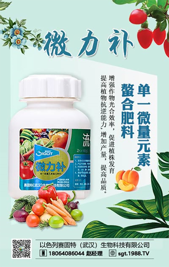 ���ι���(sh��)С�~���S�~����������������