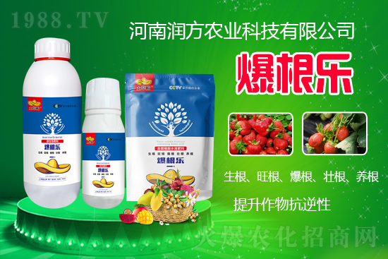     ���ϝ����r(n��ng)�I(y��)�Ƽ����޹�˾��΢�������-������-����ñ���Ɏ���ֲ�ｨ����(qi��ng)�я�(qi��ng)��ĸ�ϵ�����M(j��n)ֲ�(du��)�����B(y��ng)����ˮ���c���w�������������������������������Ѹ����B(y��ng)��������(qi��ng)��������