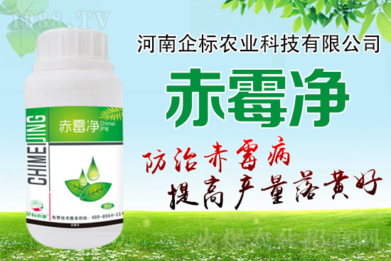 緊急提醒:未來十天是小麥赤霉病防治關鍵期!務必抓。