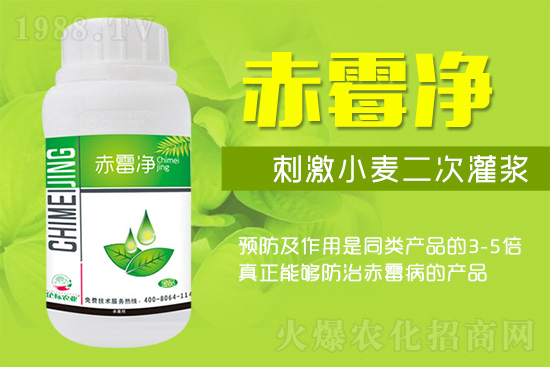 緊急提醒:未來十天是小麥赤霉病防治關鍵期!務必抓!