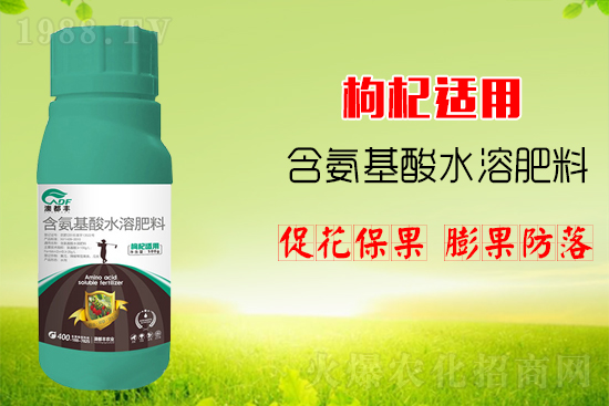 枸杞繁殖方法,主要的品種有哪些?