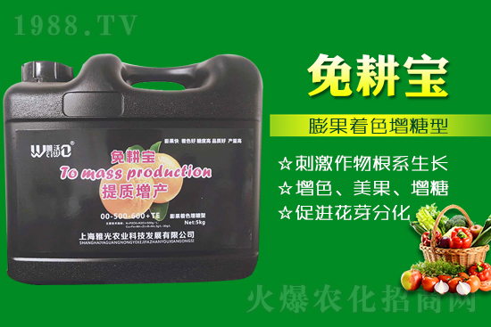 ���Ѵ߼t��ʩ��ô������ʲô���ɣ�