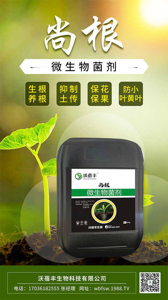 ��ô����׌���������Ѹ������@����׌��������������