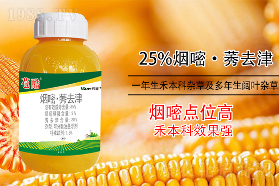 ���׳������e���@�׷N���݄���