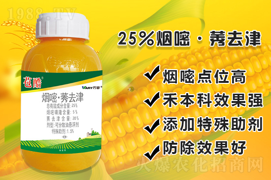 ���׳������e���@�׷N���݄���