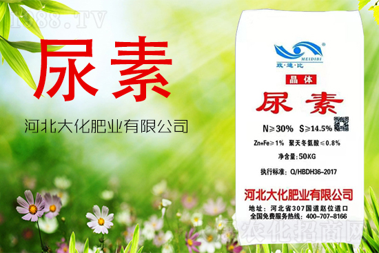 ���ص����ܲ������~�������ô����