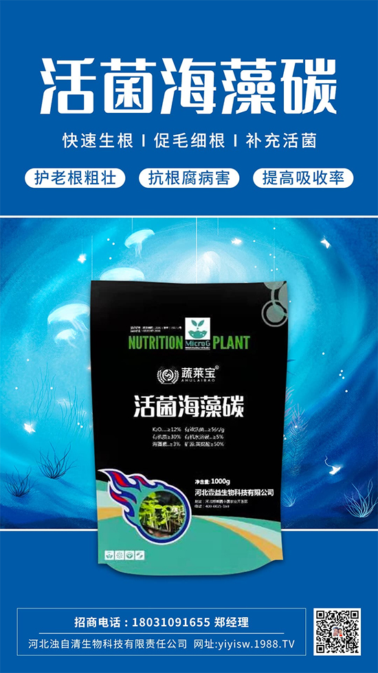 �@���Ǹ��õ�����䷽������������������ɫ������