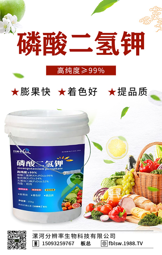 �~��ʵć�ʩ�`�^(q��)���@���c�e������