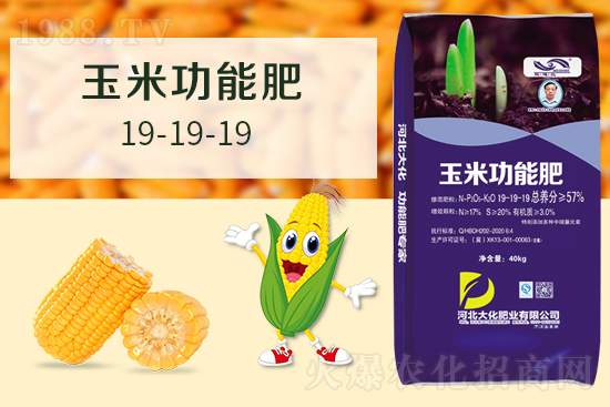 �ӱ��󻯷ʘI(y��)���޹�˾9