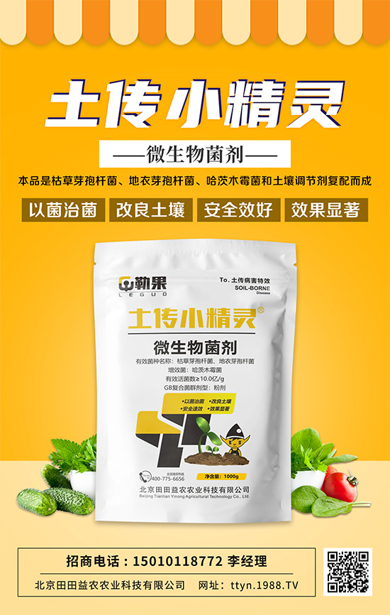 ����⧵������������������Ͼ�������Ȼ߀���@�Ӿȣ�