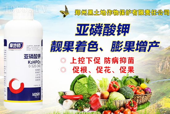 2022��4��7�����@�Ј�(ch��ng)�r(ji��)�������(b��o)�r(ji��)