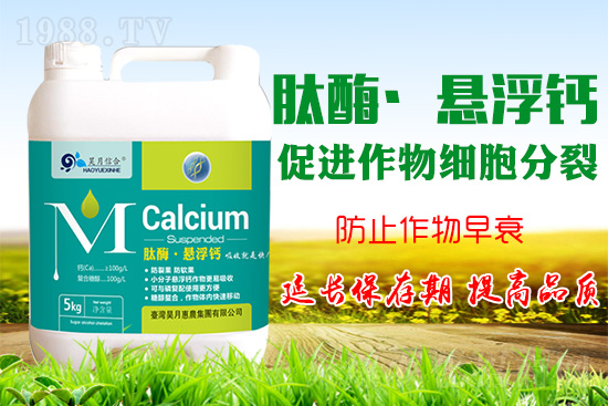 �O���仨���a�}���P(gu��n)�I���O���a�}���Ă��`�^(q��)��֪���᣿