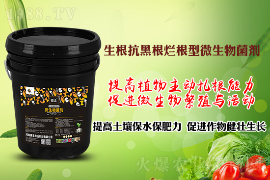 ����ڸ��������S�������l�l(f��)���á������p�ɽ�Q�����f�Nֲ�������ã�