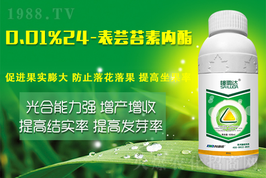 蕓苔素內酯竟然有這么多作用!這樣搭配解決膨果增產難題!