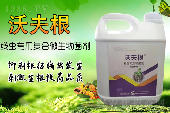 根結(jié)線蟲(chóng)侵染作物根部?教你幾招,不反彈效果更!