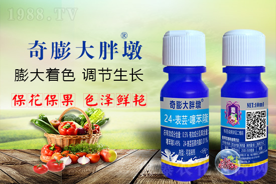     ������Ҫ�߮a(ch��n)��������P(gu��n)�I��������(sh��)�������D(zhu��n)ɫ�����u(m��i)��������ڵĮa(ch��n)����Ʒ�|(zh��)����������(l��i)�S��Ĺ��r(n��ng)���r(n��ng)������ӳ�Լҵ���������ס���������������������������������ܛ���չ�����r�l���l(f��)����