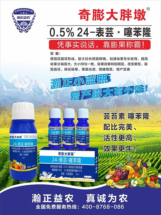     ������Ҫ�߮a(ch��n)��������P(gu��n)�I��������(sh��)�������D(zhu��n)ɫ�����u(m��i)��������ڵĮa(ch��n)����Ʒ�|(zh��)���С�����(l��i)�S��Ĺ��r(n��ng)���r(n��ng)������ӳ�Լҵ���������ס���������������������������������ܛ���չ�����r�l���l(f��)����