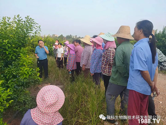 ���M(j��n)���g���^���������ٮa(ch��n)�I(y��)