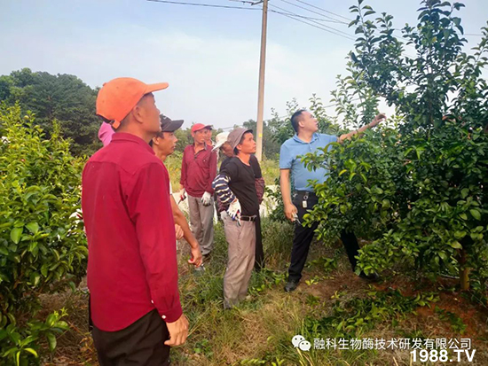 ���M(j��n)���g���^���������ٮa(ch��n)�I(y��)