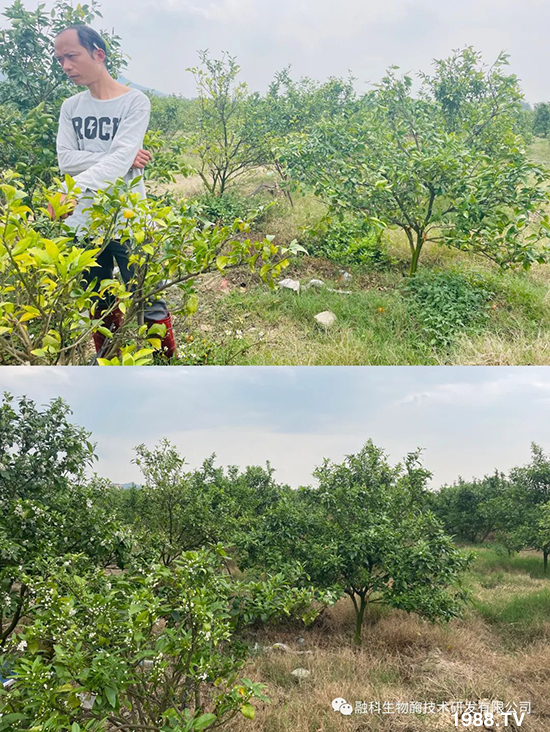 ���M(j��n)���g���^���������ٮa(ch��n)�I(y��)