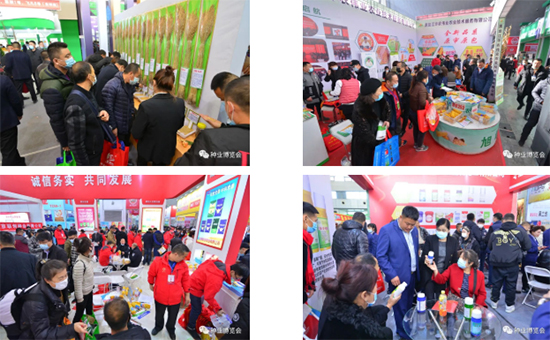 �����I�N�I(y��)���[��(hu��)3