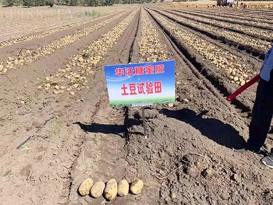     這款糖蜜肥農(nóng)資圈瘋傳！原料天然，低成本高肥效開創(chuàng)者！