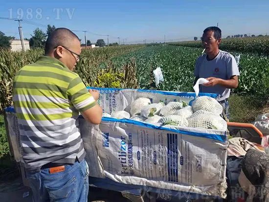     這款糖蜜肥農(nóng)資圈瘋傳！原料天然，低成本高肥效開創(chuàng)者！