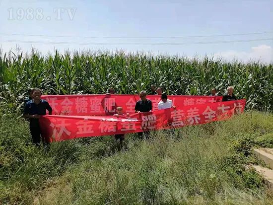     這款糖蜜肥農(nóng)資圈瘋傳！原料天然，低成本高肥效開創(chuàng)者！