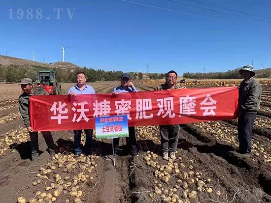     這款糖蜜肥農(nóng)資圈瘋傳！原料天然，低成本高肥效開創(chuàng)者！