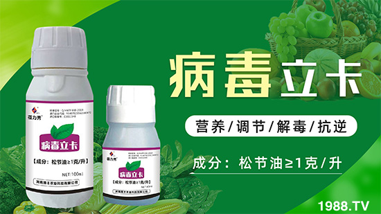�ƽ�ֲ�ﲡ�������y�}�����ٻ֏�(f��)���C(j��)���@��(g��)ˎ���Ͼ͹�����